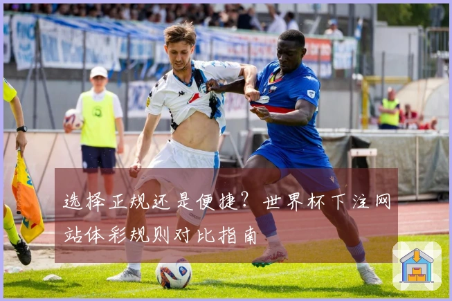 选择正规还是便捷？世界杯下注网站体彩规则对比指南