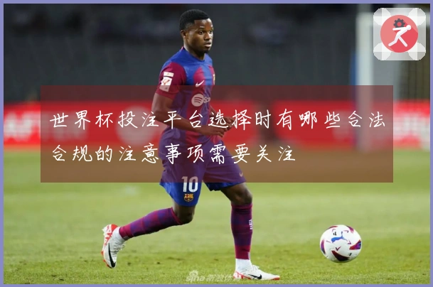 世界杯投注平台选择时有哪些合法合规的注意事项需要关注