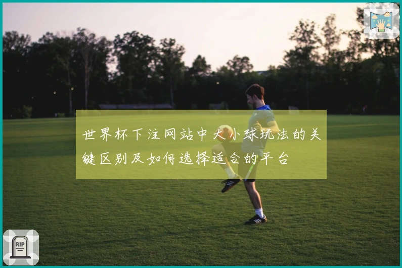 世界杯下注网站中大小球玩法的关键区别及如何选择适合的平台