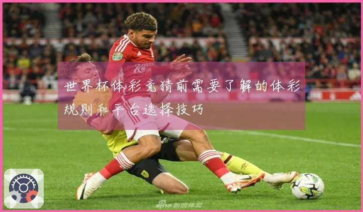 世界杯体彩竞猜前需要了解的体彩规则和平台选择技巧