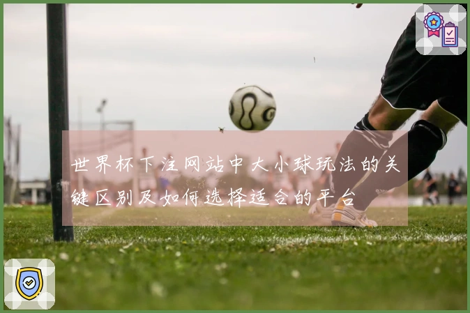 世界杯下注网站中大小球玩法的关键区别及如何选择适合的平台