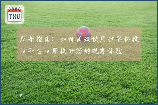 新手指南：如何高效使用世界杯投注平台注册提升您的观赛体验