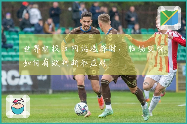 世界杯投注网站选择时，临场变化如何有效判断和应对