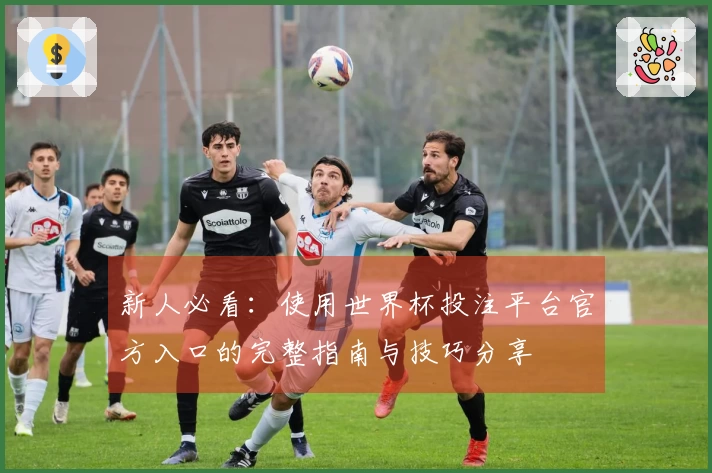 新人必看：使用世界杯投注平台官方入口的完整指南与技巧分享