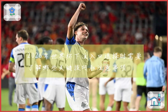 2026年世界杯下注入口选择时需要了解哪些关键技巧和注意事项