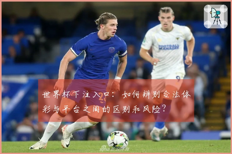 世界杯下注入口：如何辨别合法体彩与平台之间的区别和风险？