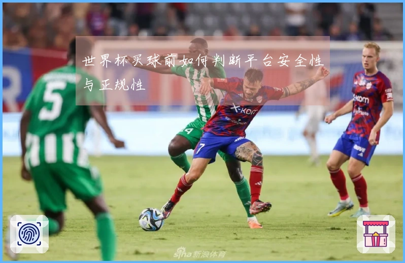 世界杯买球前如何判断平台安全性与正规性