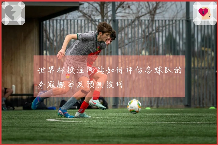 世界杯投注网站如何评估各球队的夺冠概率及预测技巧