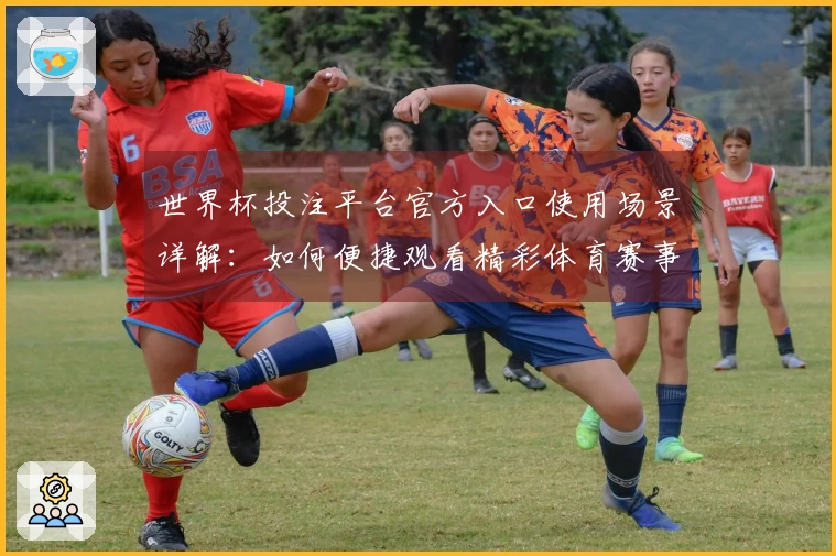 世界杯投注平台官方入口使用场景详解：如何便捷观看精彩体育赛事