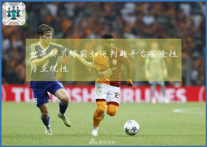 世界杯买球前如何判断平台安全性与正规性