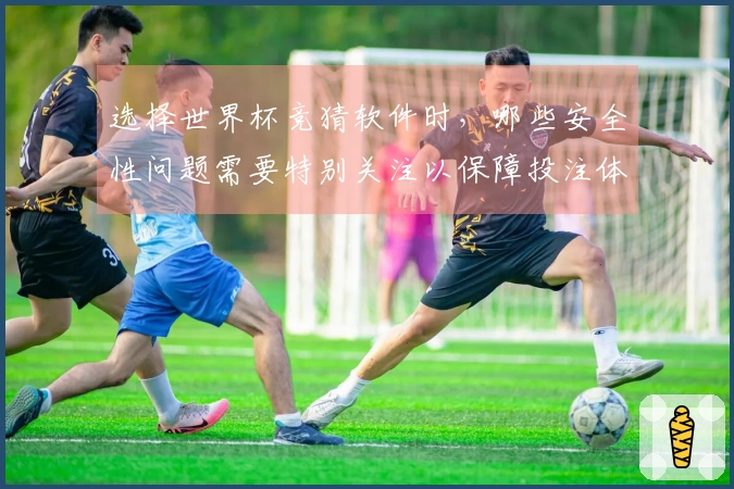 选择世界杯竞猜软件时，哪些安全性问题需要特别关注以保障投注体验？