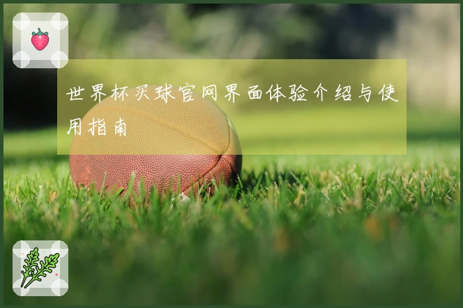 世界杯买球官网界面体验介绍与使用指南