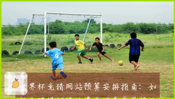 世界杯竞猜网站预算安排指南：如何合理规划投注资金避免盲目投注
