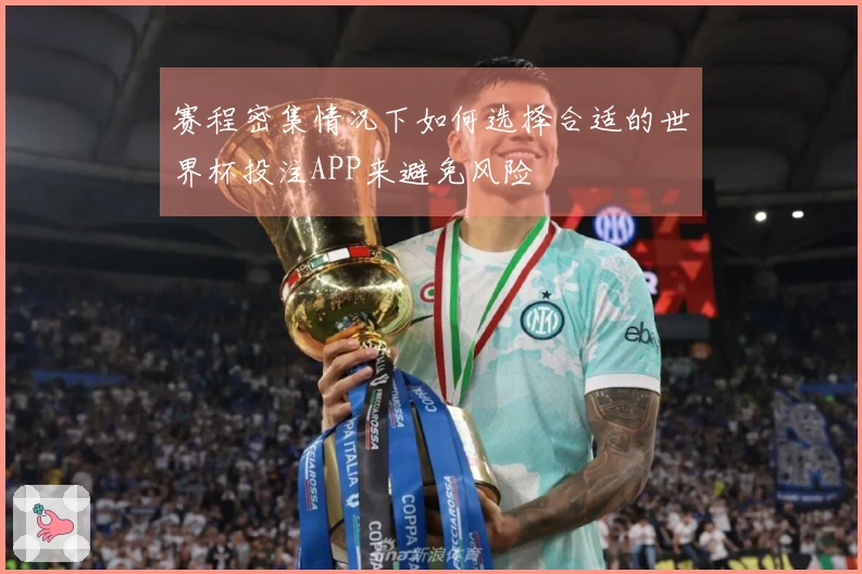 赛程密集情况下如何选择合适的世界杯投注APP来避免风险