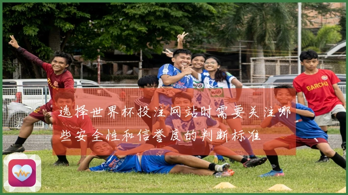 选择世界杯投注网站时需要关注哪些安全性和信誉度的判断标准