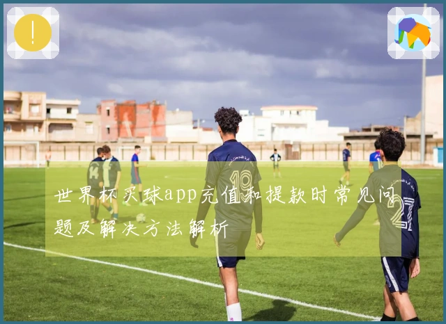 世界杯买球app充值和提款时常见问题及解决方法解析