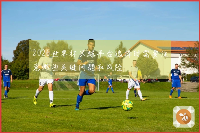 2026世界杯买球平台选择时需要注意哪些关键问题和风险