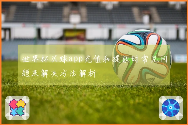 世界杯买球app充值和提款时常见问题及解决方法解析