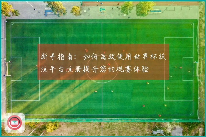新手指南：如何高效使用世界杯投注平台注册提升您的观赛体验