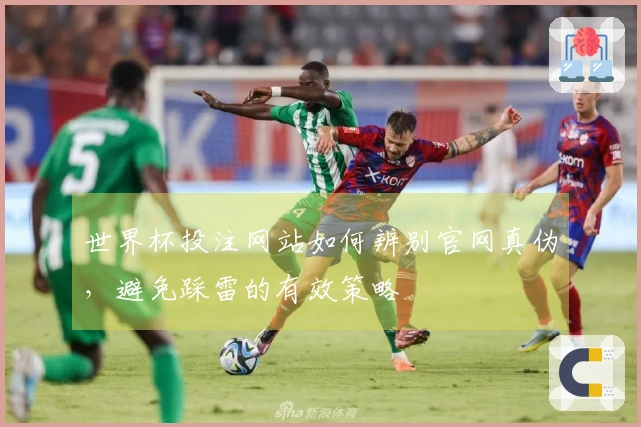 世界杯投注网站如何辨别官网真伪，避免踩雷的有效策略