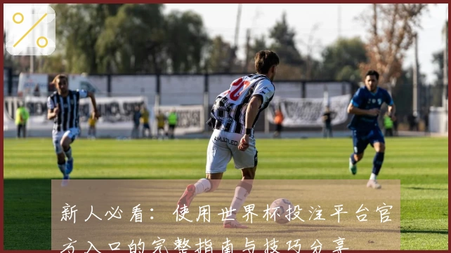 新人必看：使用世界杯投注平台官方入口的完整指南与技巧分享